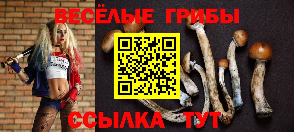 Псилоцибиновые грибы прущие грибы Калуга
